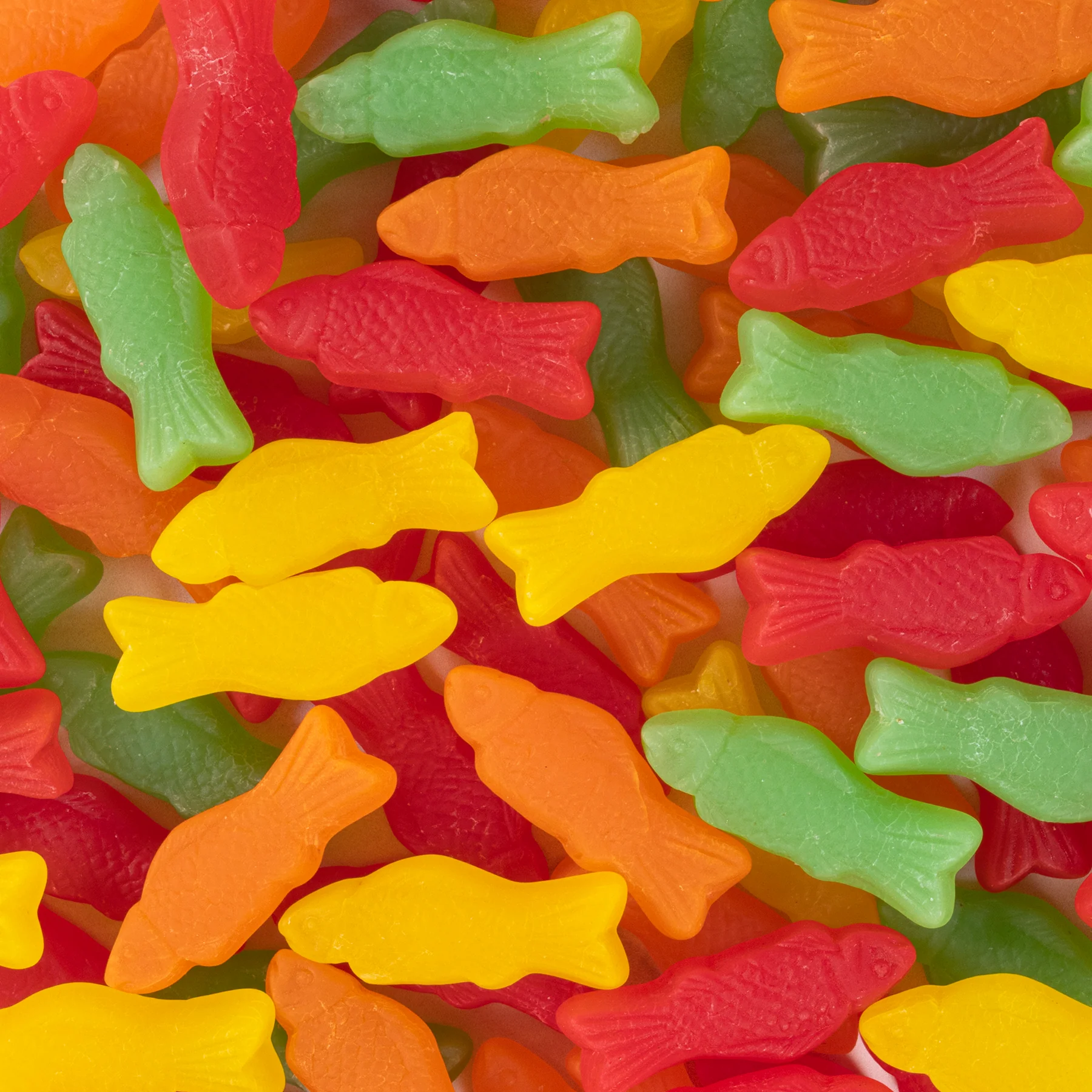Juju Fish - Image 4